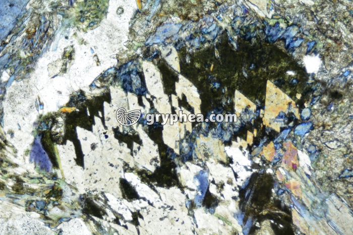 Glaucophane LPA x25 - gryphea.com